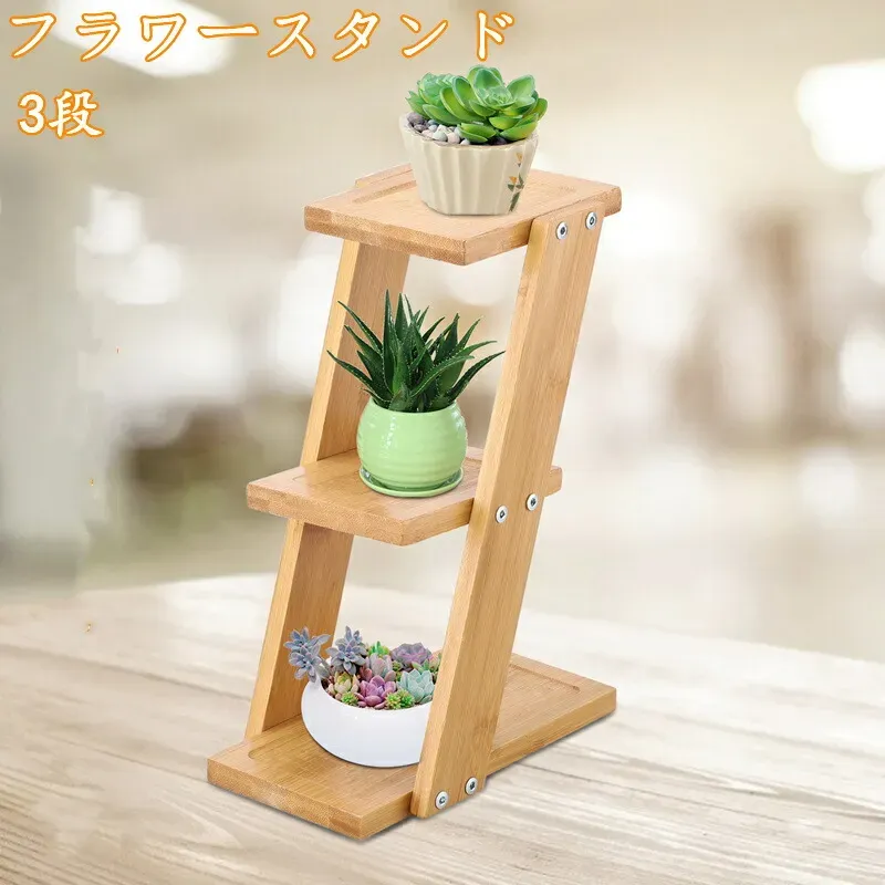 多肉植物 スタンドの選び方・飾り方：おしゃれ部屋を作る究極テクニック徹底解説